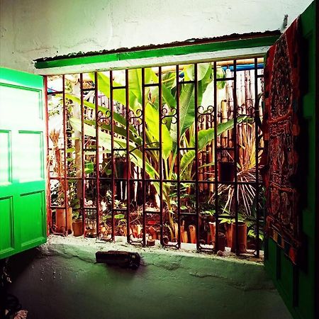 Meanwhile In Veracruz Extérieur photo