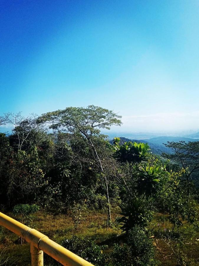 Meanwhile In Veracruz Extérieur photo