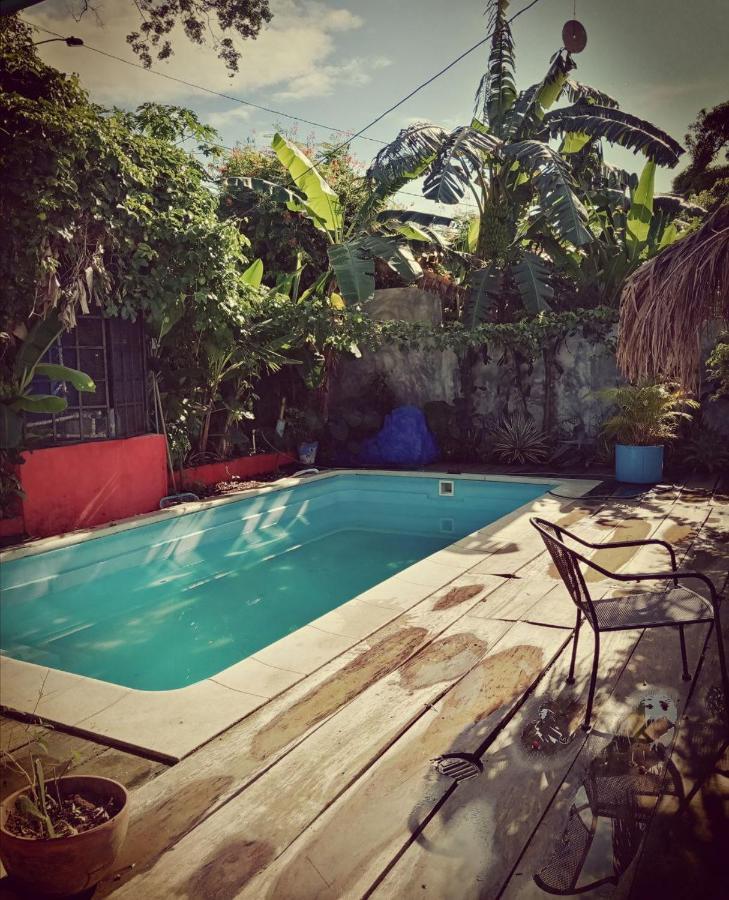 Meanwhile In Veracruz Extérieur photo