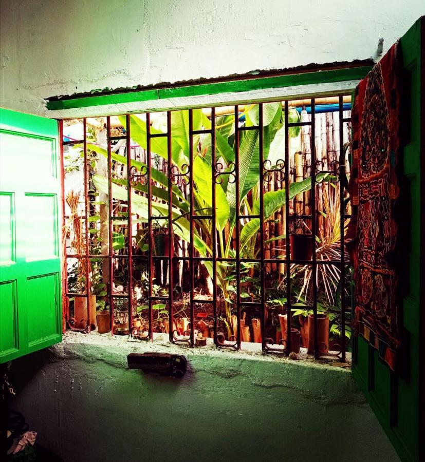 Meanwhile In Veracruz Extérieur photo