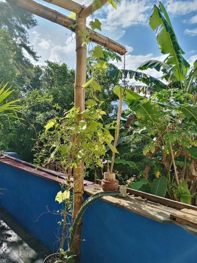 Meanwhile In Veracruz Extérieur photo