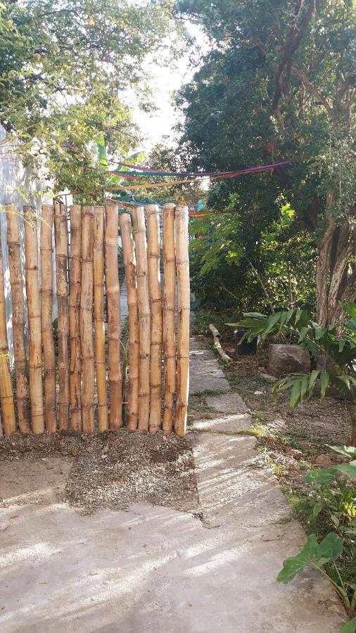 Meanwhile In Veracruz Extérieur photo