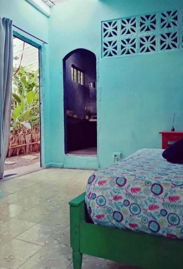 Meanwhile In Veracruz Extérieur photo