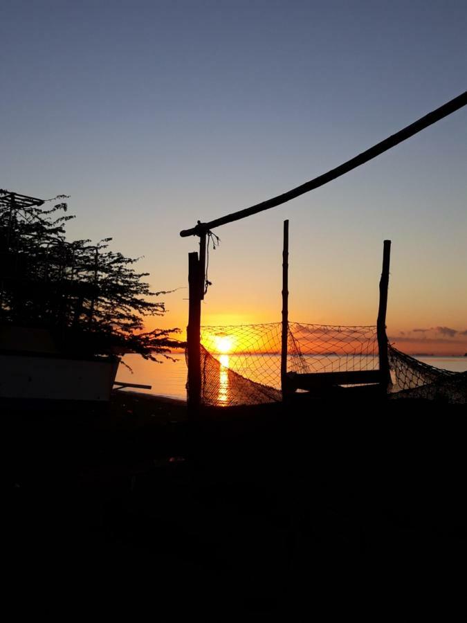 Meanwhile In Veracruz Extérieur photo