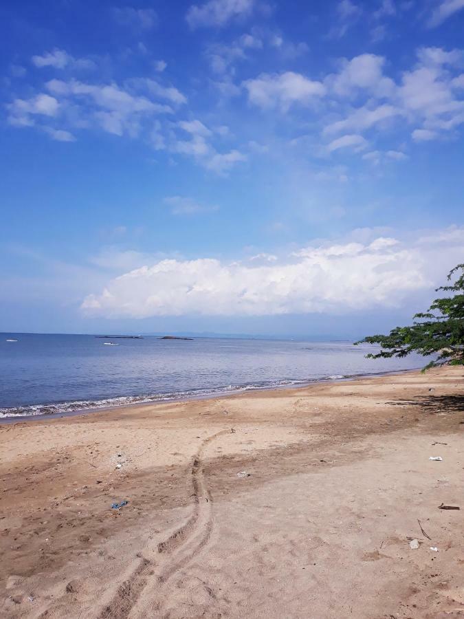 Meanwhile In Veracruz Extérieur photo